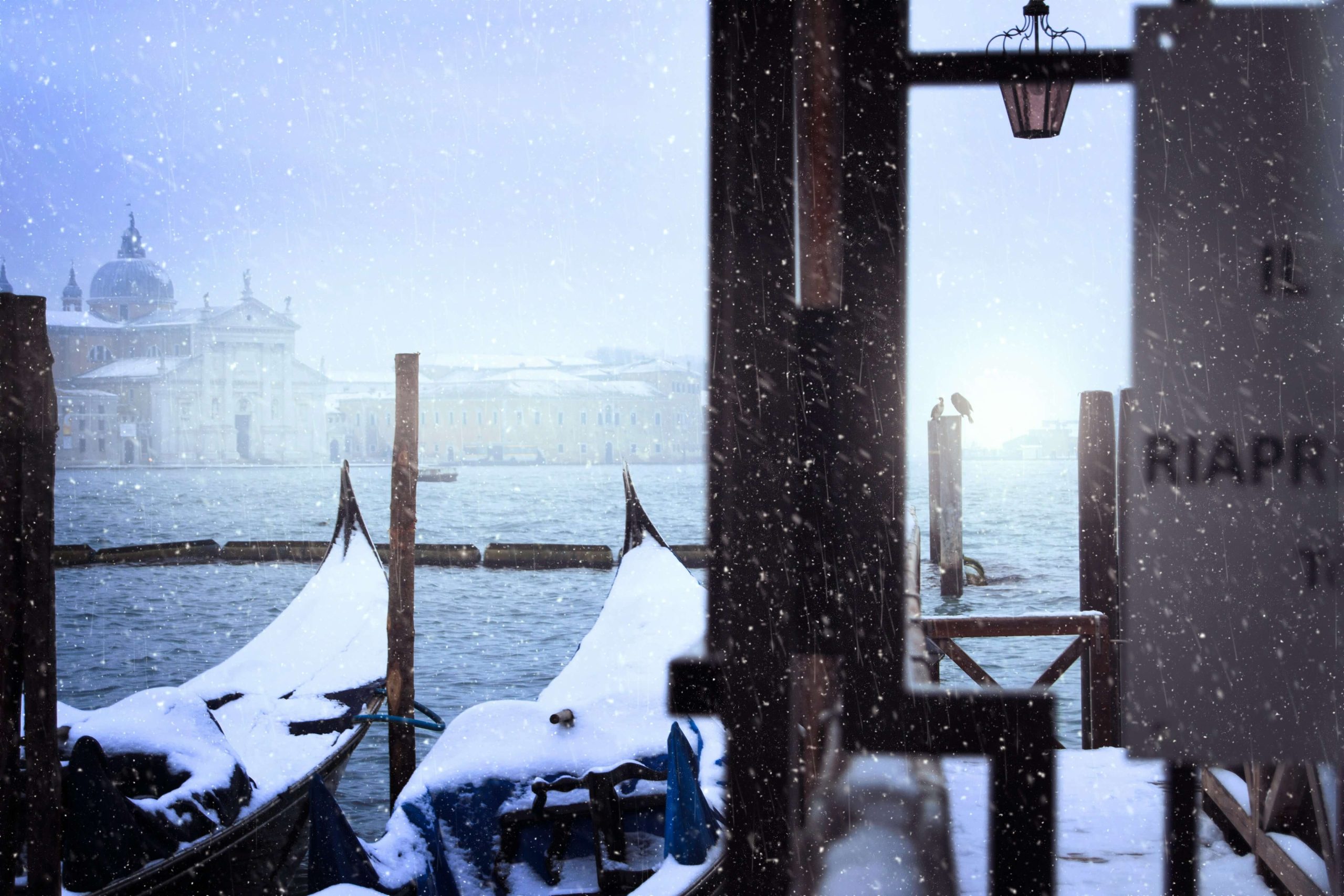 Suite-Natale